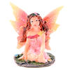 Flower Fairy in a Bag - Box of 24