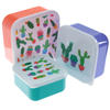 Cactus Design Plastic Lunch Boxes - Set of 3
